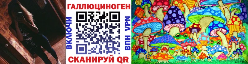 mega как зайти  Соль-Илецк  Галлюциногенные грибы мицелий 
